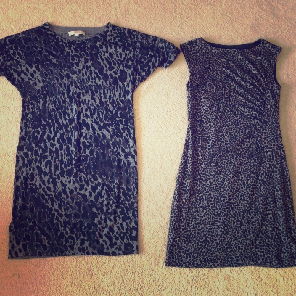 NWOT Ann Taylor Loft Dresses